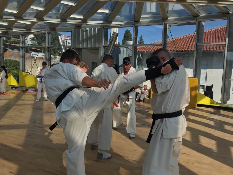 Karate Sokolov